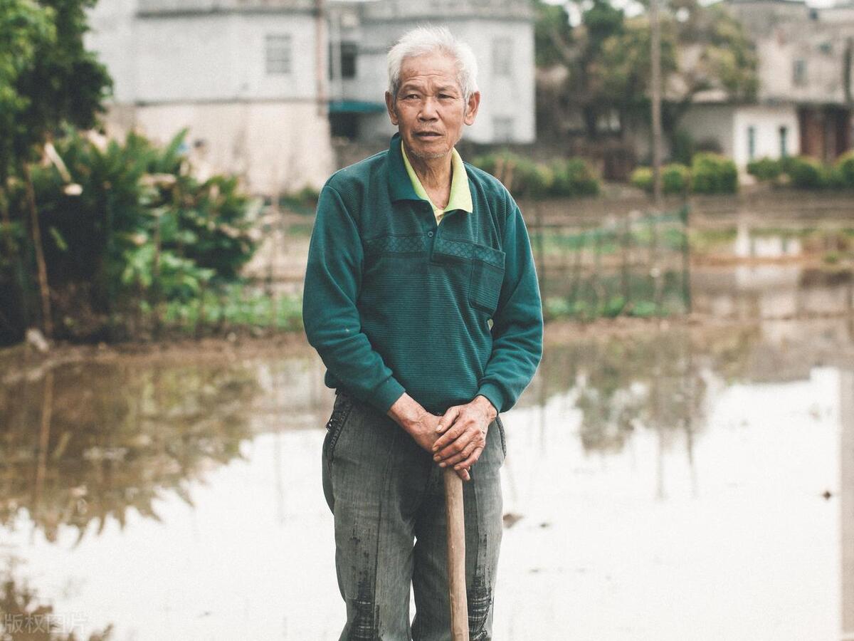现在经济发展了，我们应该尽量营造环境，避免花甲农民出来打工