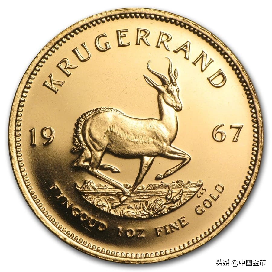 纪念币上的中南情谊