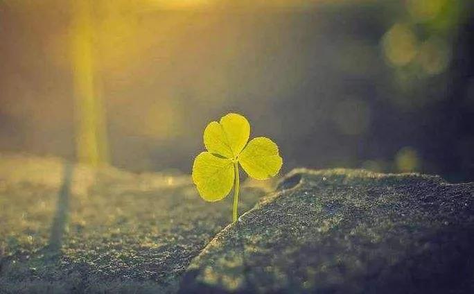 朋友说我想减肥怎么办,朋友问我减肥怎么瘦