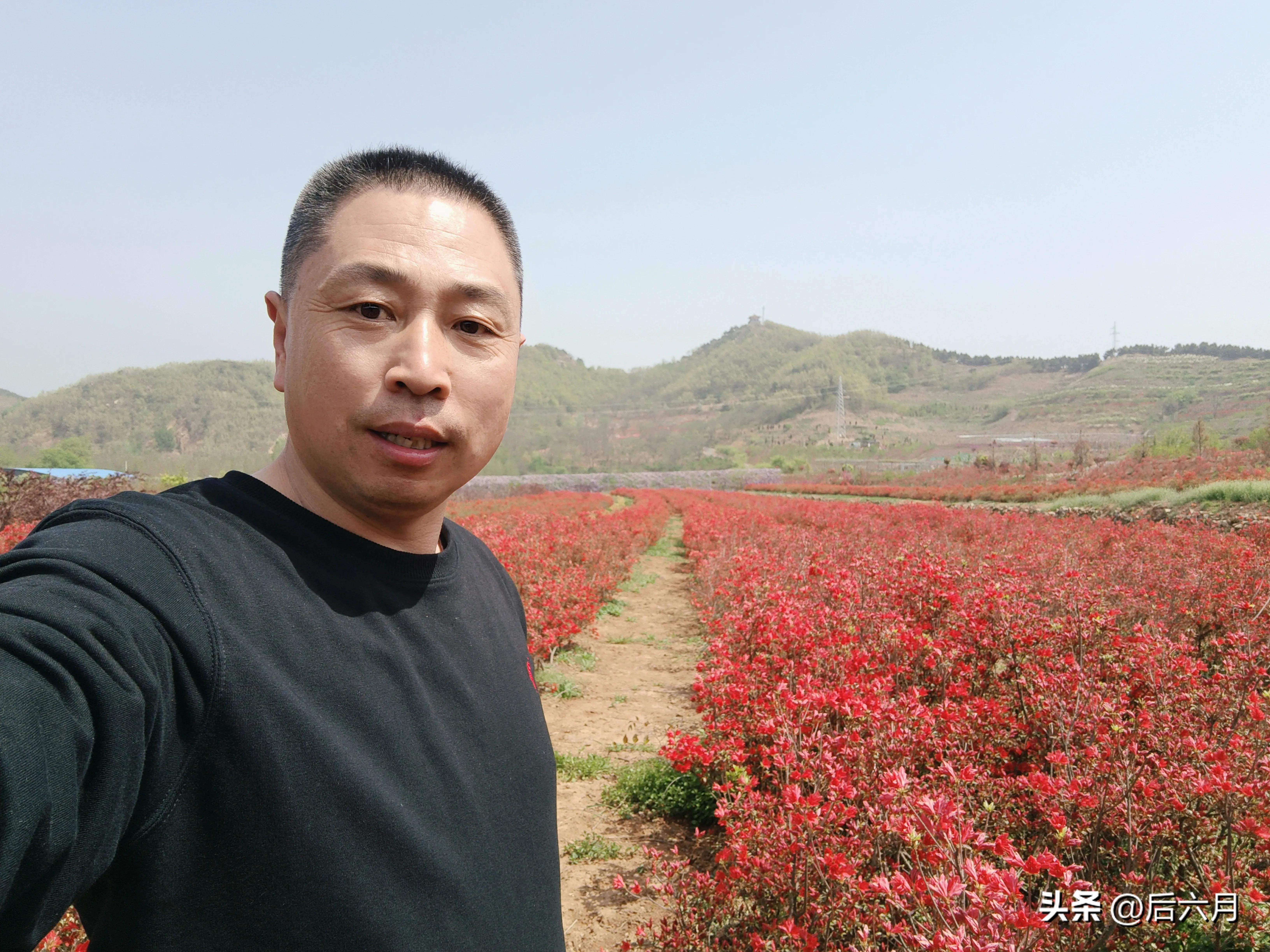 途游西海岸l无比方花园，杨家山里新添网红打卡地