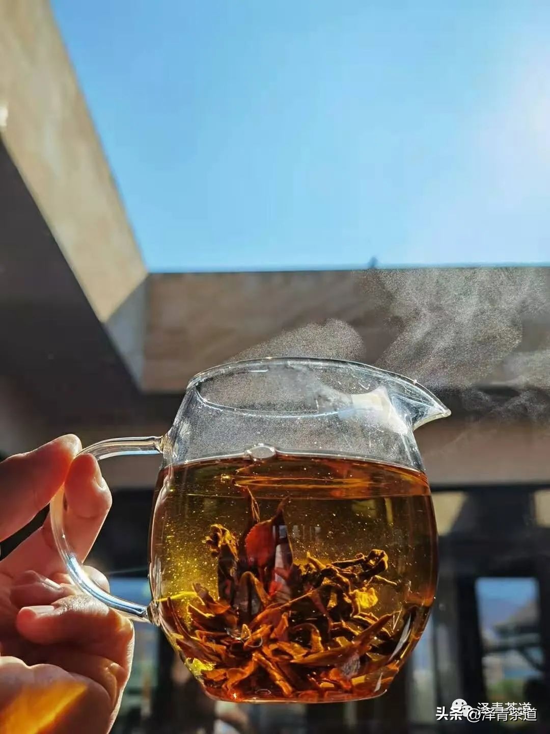 谷雨适合喝什么茶,谷雨喝什么茶叶