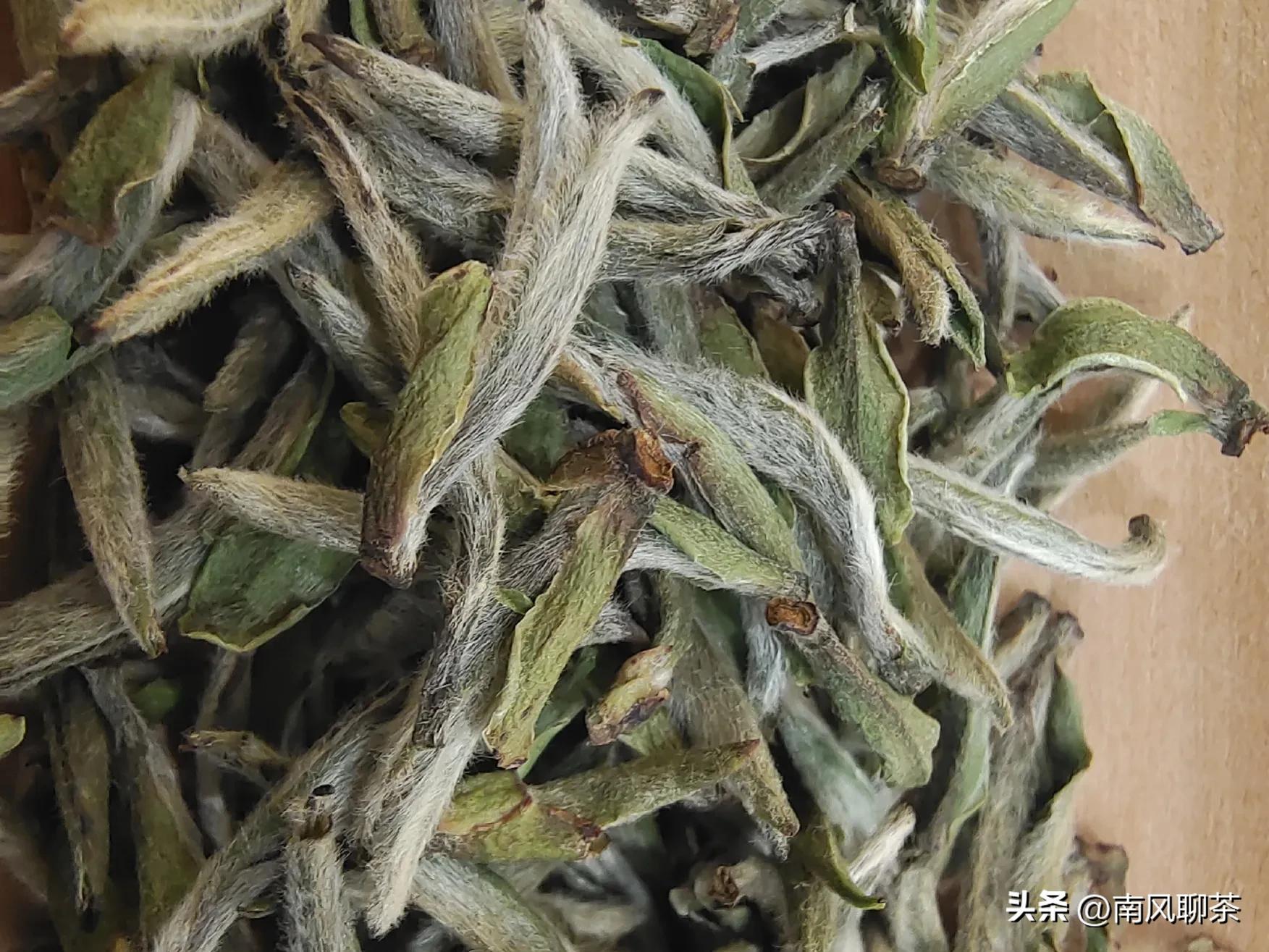 喝茶怎样才能中奖,买茶怎么才不会被坑