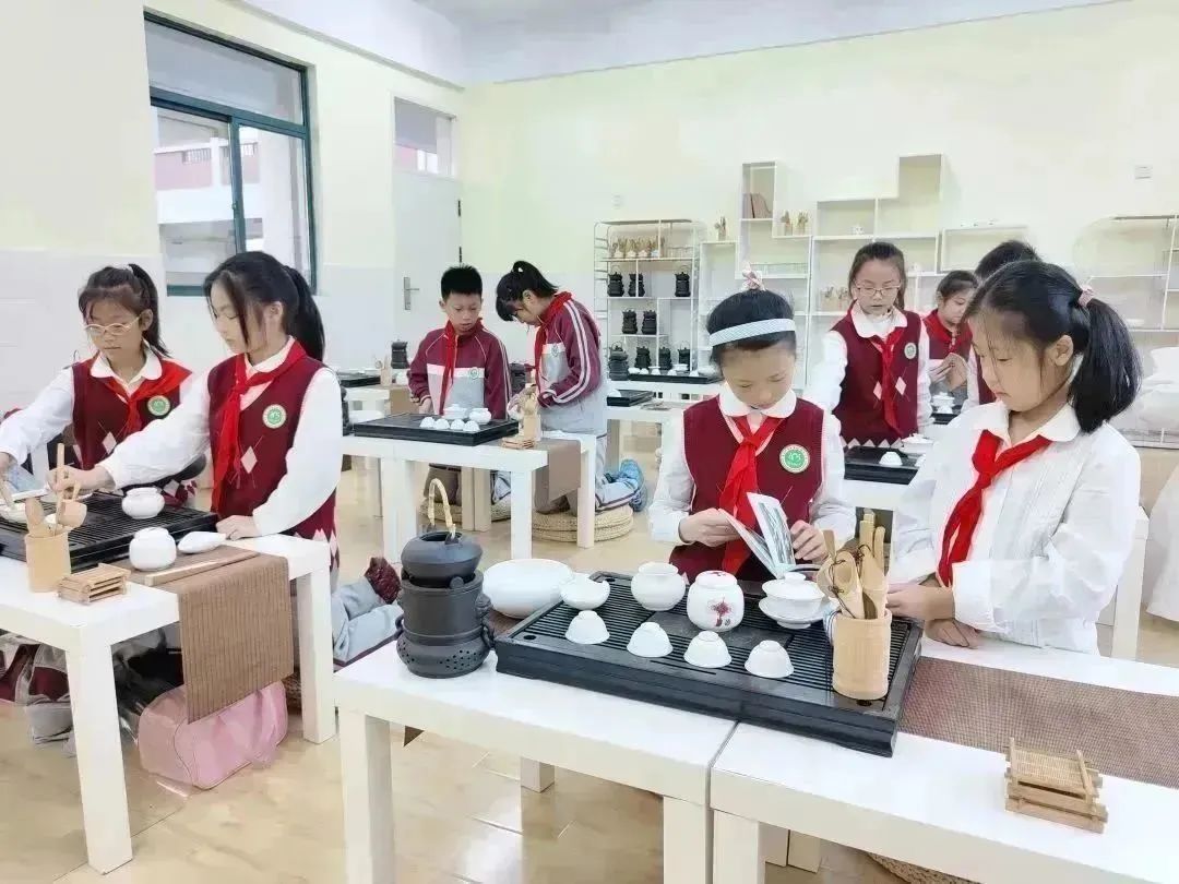 双减政策下的小学实践活动,双减政策实施后中小学生课外活动