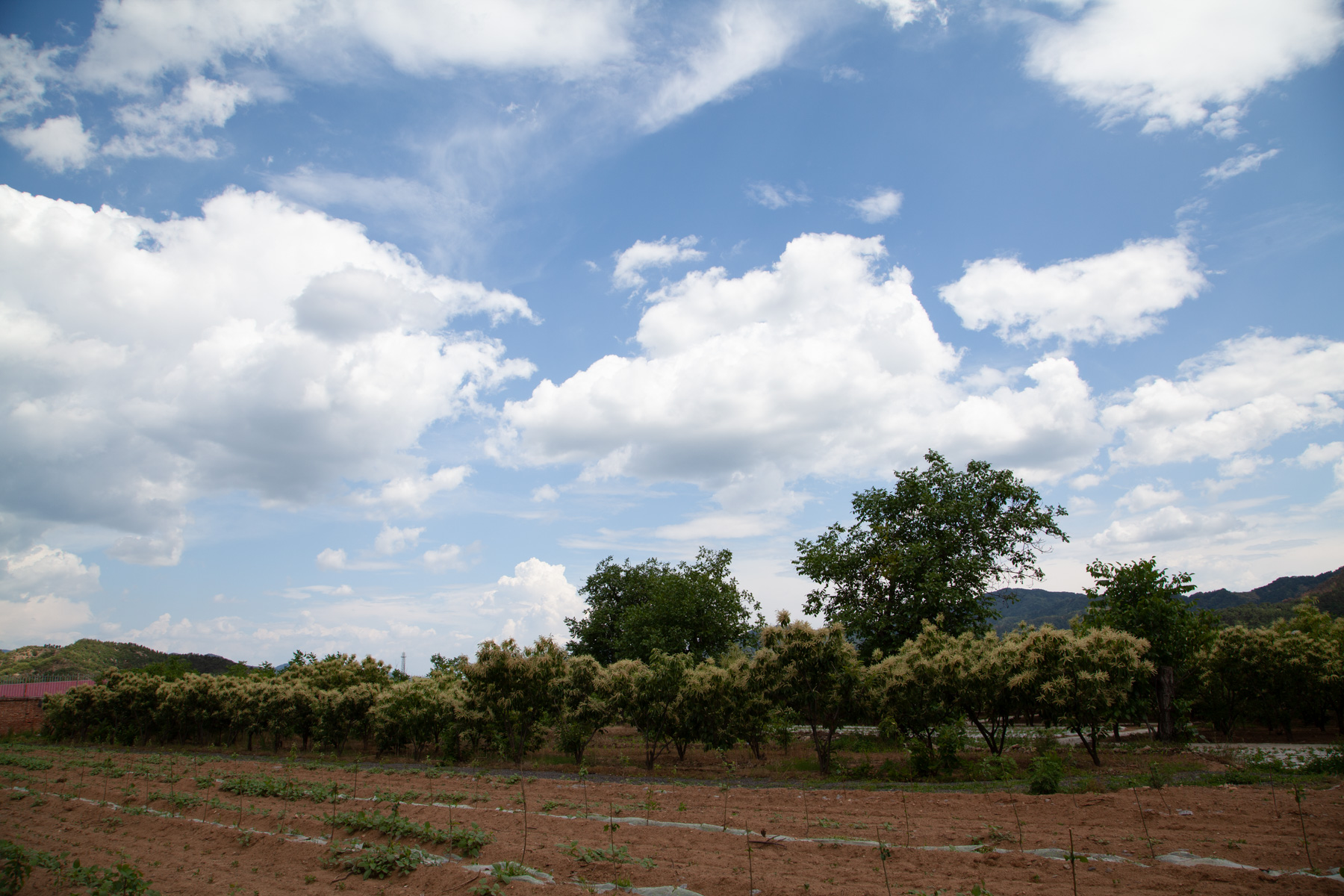 什么是raw格式和jpg格式,什么是raw格式拍摄