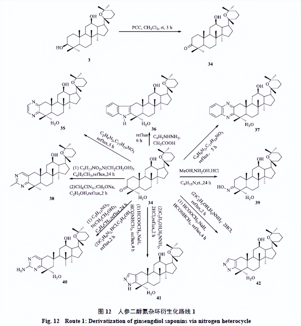 人参皂苷的最新相关研究,人参皂苷的生物转化