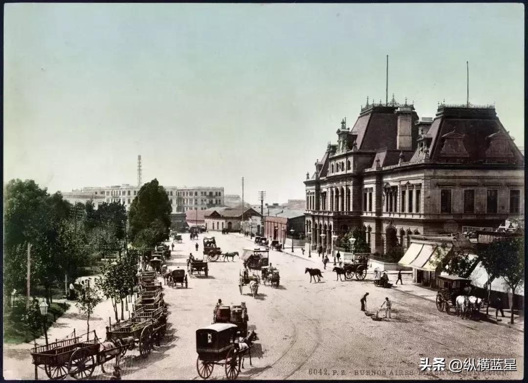 雄鹰展翅好还是站立鹰好,雄鹰vs阿根廷