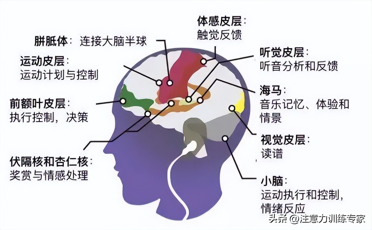 叫不动孩子做事怎么办,孩子执行力差怎么治疗