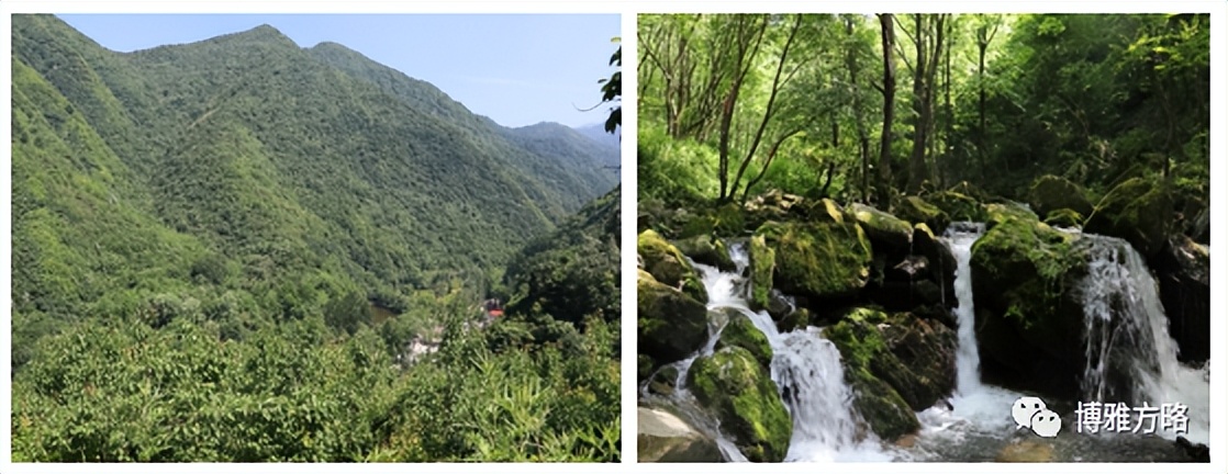 陕西省西安市周至县九峰镇耿西村,西安高新区九峰镇耿西村拆迁