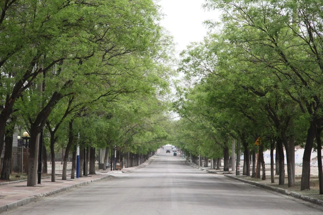 宁煤综掘,宁煤综掘服务分公司是干嘛的