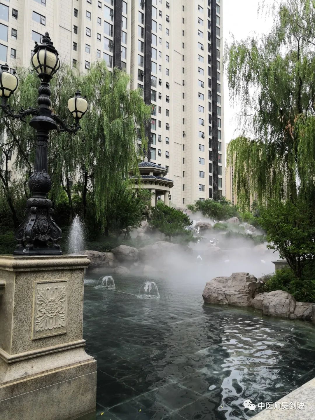 阿胶和熟地黄哪个补血效果好,补血第一圣药丹参