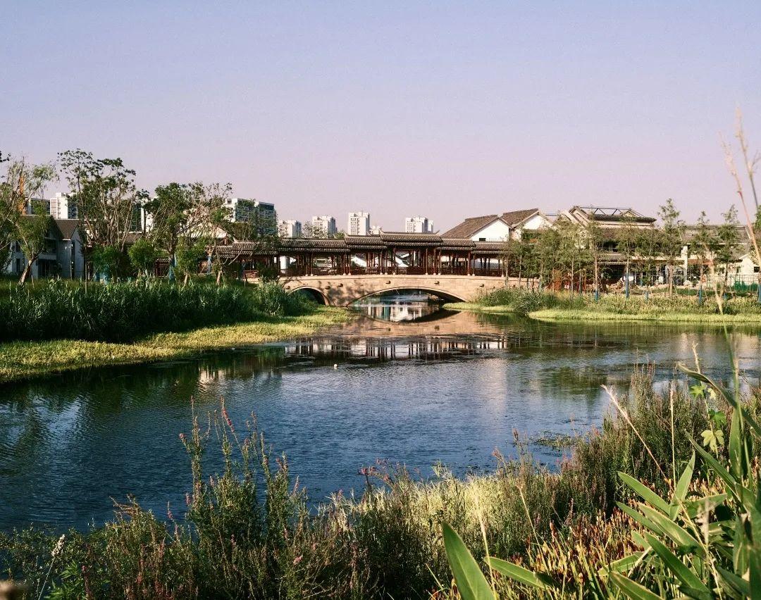 2023最吸引年轻人的商业项目,新项目2023最火项目排名