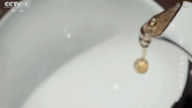 学习茶知识,学习茶知识有前景嘛