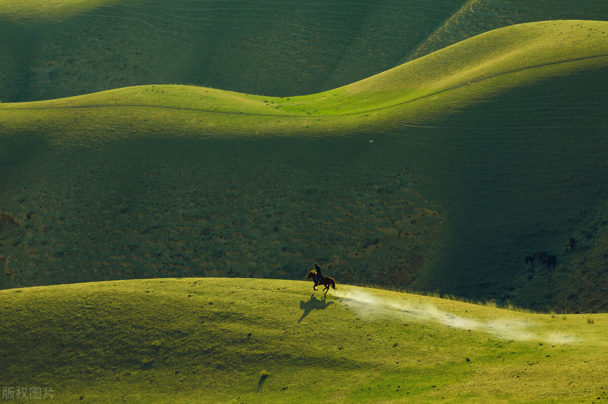 在草原上骑马是一种享受,草原骑马的真实感受