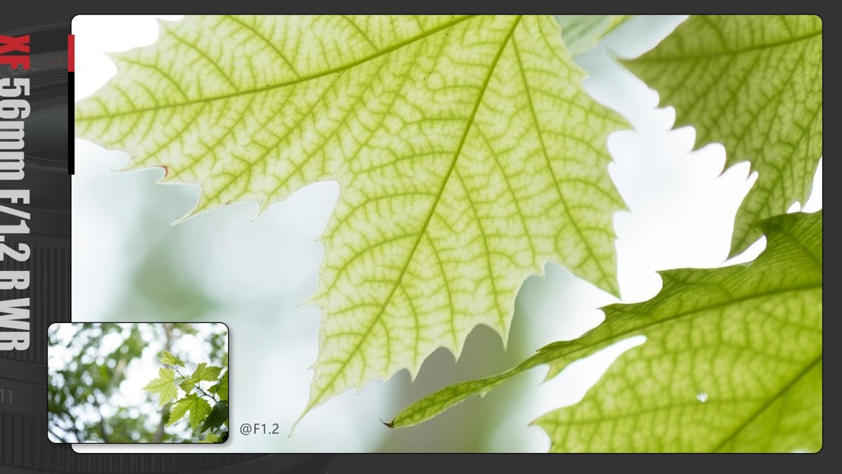 富士xf23f1.2定焦镜头使用体会,富士xf56mm1.2一代和二代有多大区别