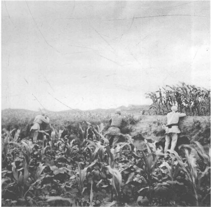 中原突围的部队后来归为哪里,中原突围最悲壮的一次