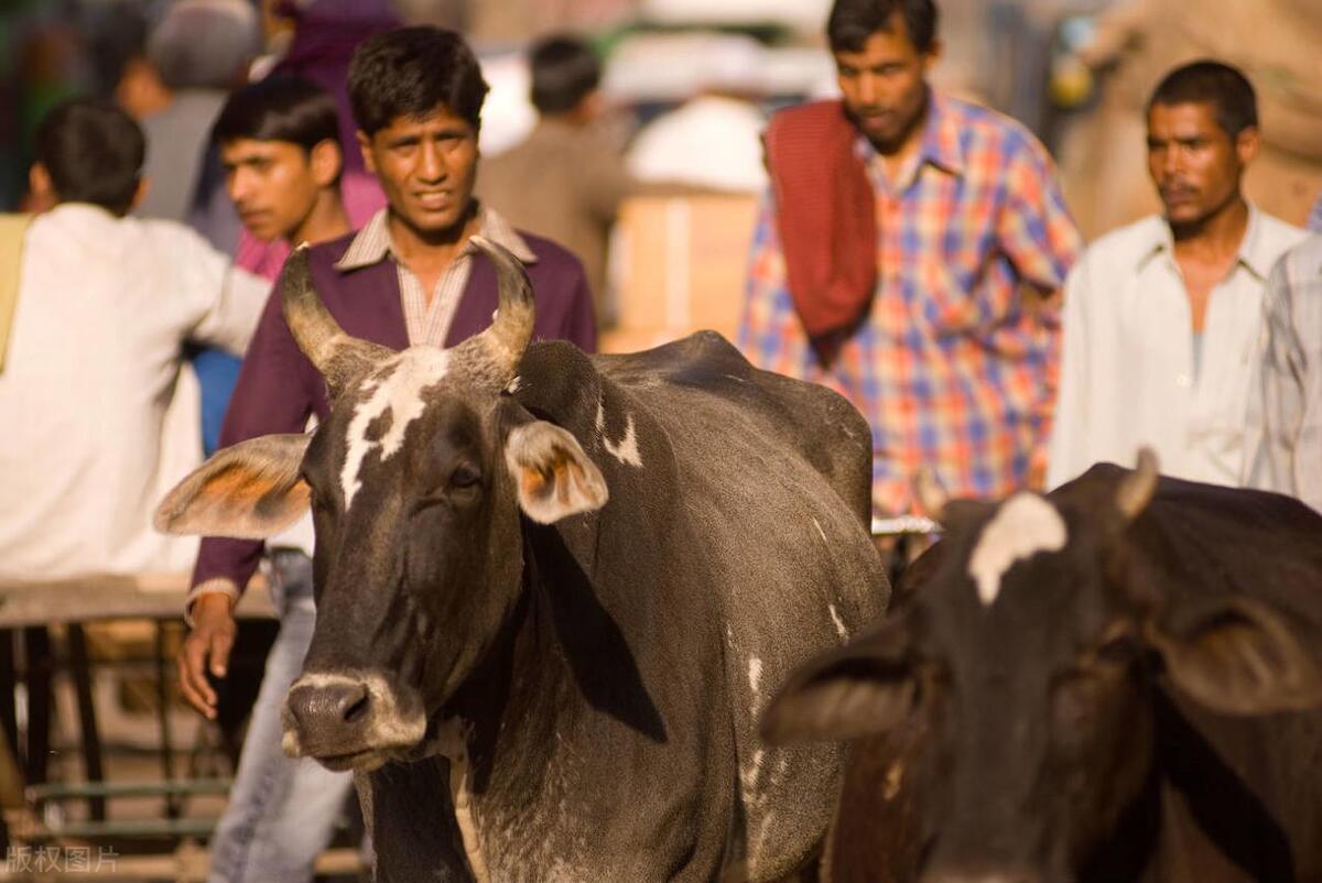 七天挣十万试药员,7天赚10万的试药员