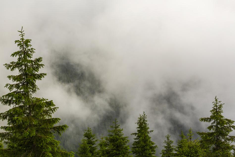 李商隐的夜雨寄北表达什么,唐诗三百首夜雨寄北李商隐