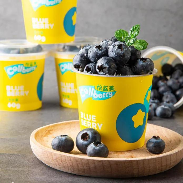 以品牌赋能云南蓝莓“精品化”，本来生活网打造国优蓝莓商品矩阵