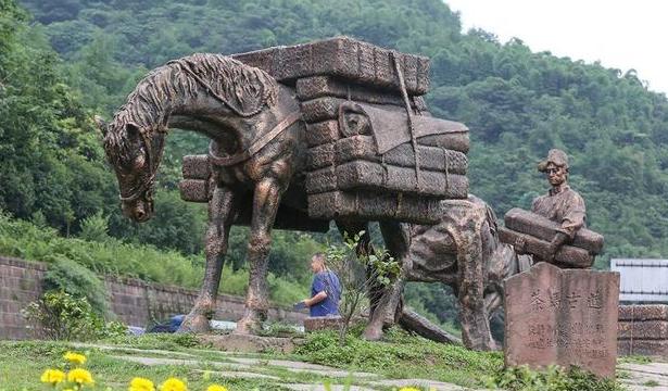 茶马古道文化研究最权威的人,茶马古道对于民族融合的影响