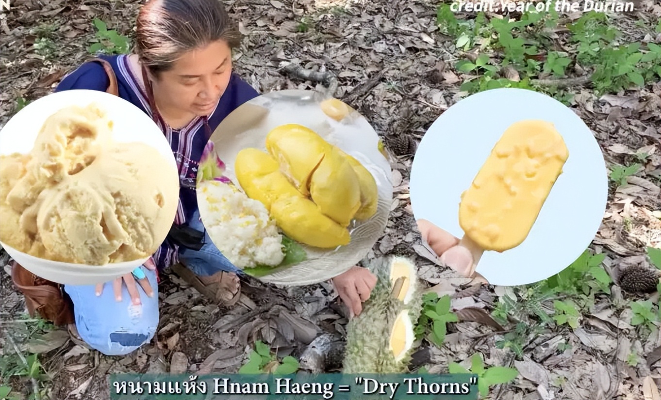 泰国金枕头榴莲19.9元,榴莲吃到饱泰国