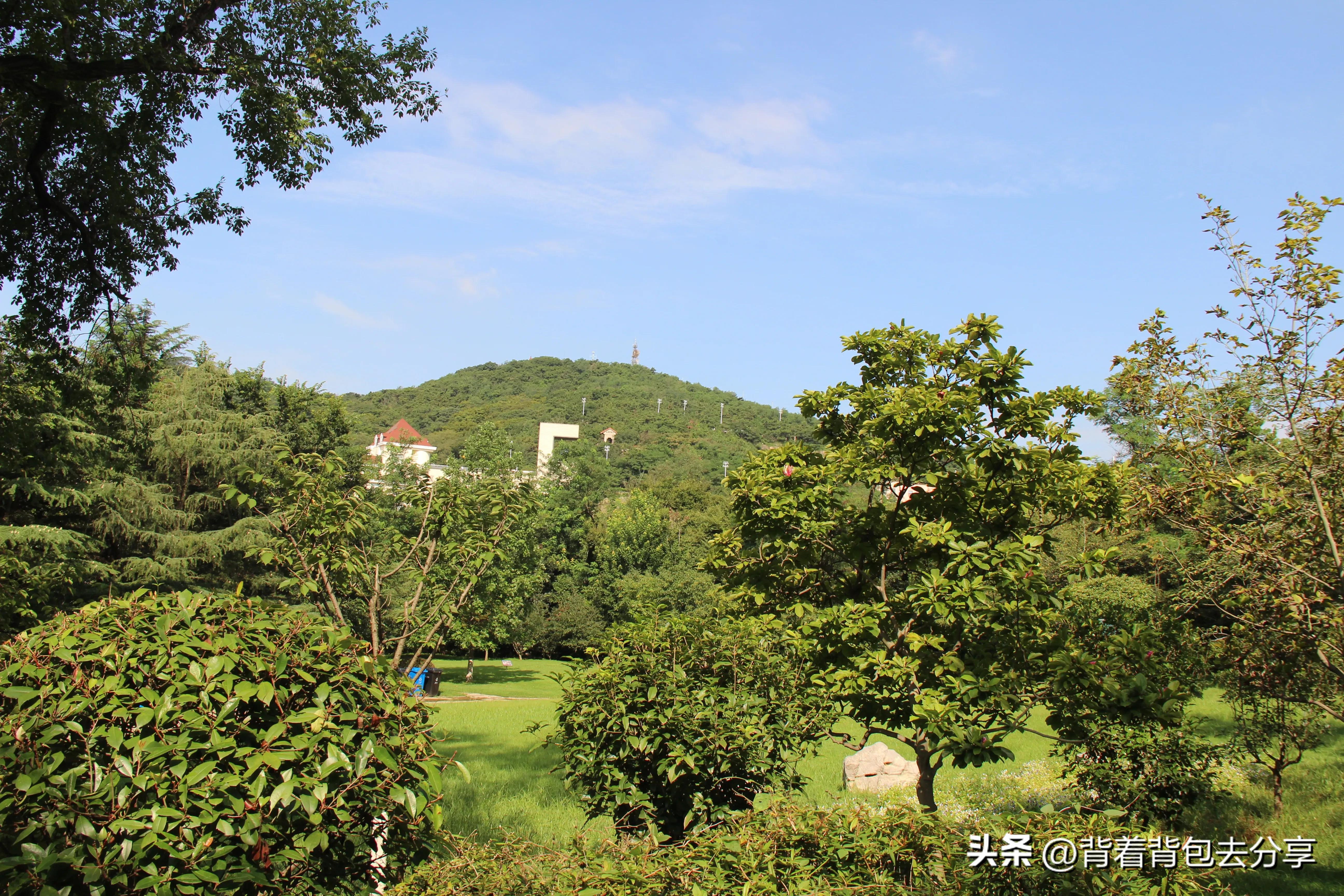 青岛旅游三天自由行攻略最新篇章,青岛最实用的旅游攻略