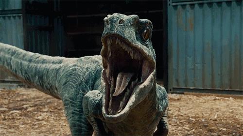 恐龙小百科认识更多的恐龙,恐龙大百科里有什么没见过的恐龙