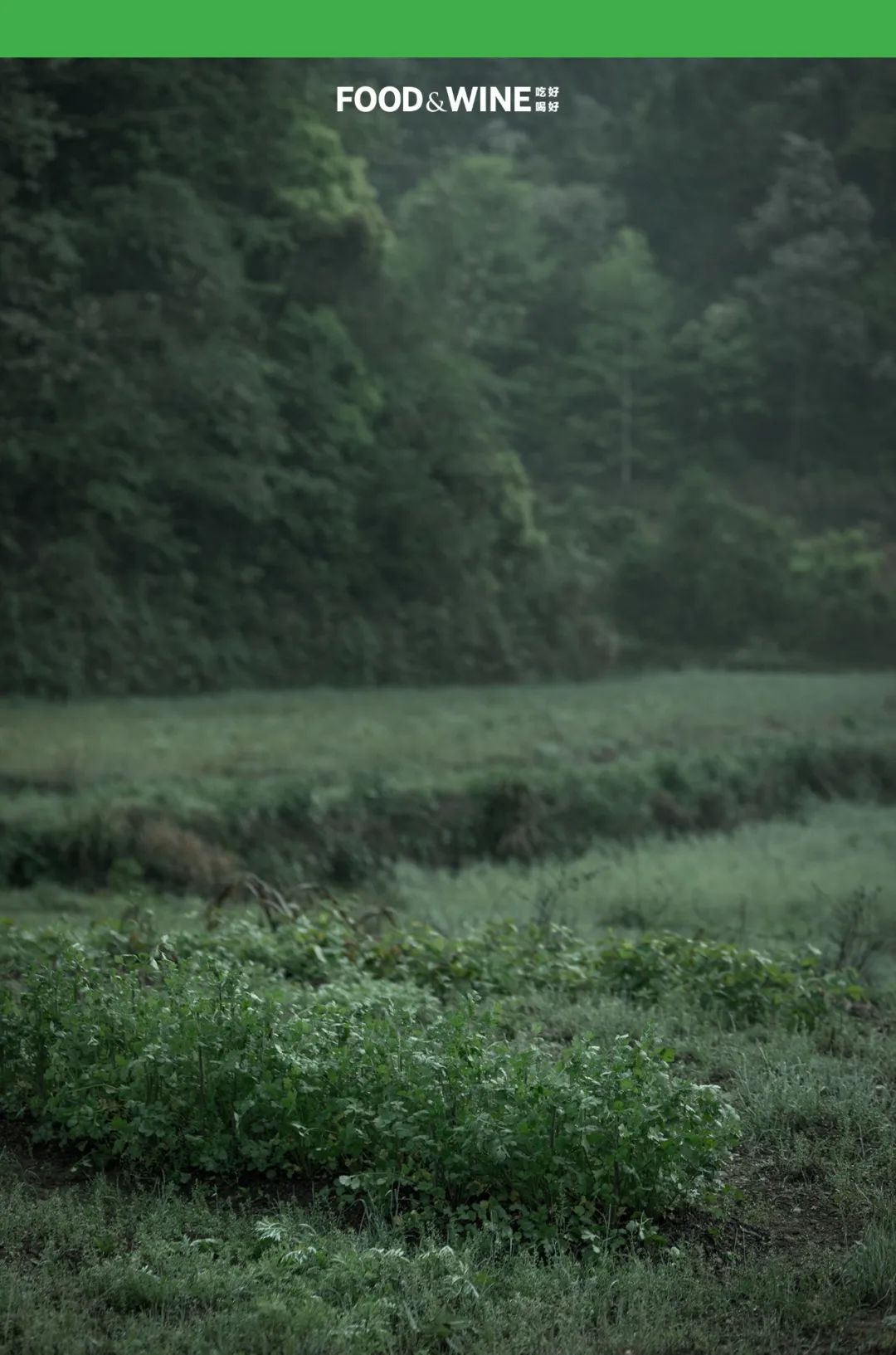 鏅痉闀囧搴欏悆鏂嬮キ,涓囧绂呭鏂嬮キ