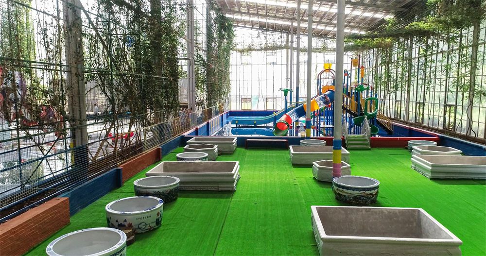 转龙道平安福,转龙镇的平安符