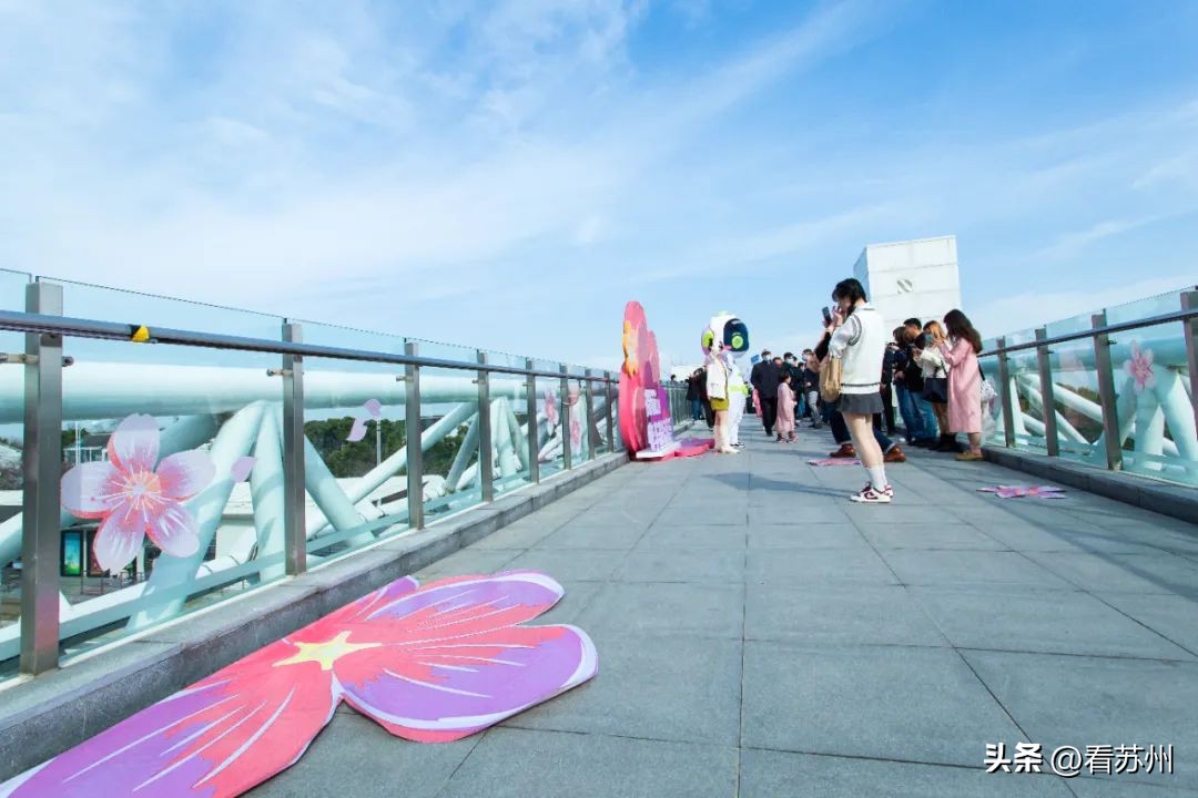 苏州赏花的地方,苏州三月中旬赏花去处