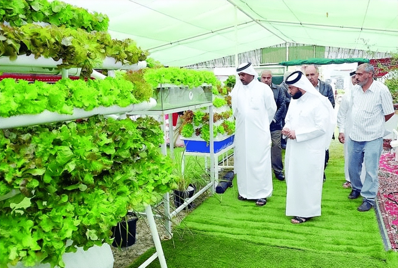 卡塔尔世界杯花了2200亿美元,卡塔尔世界杯农业