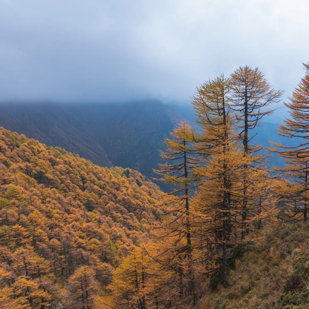 太白山是陕西最高点吗,秦岭最高峰太白山