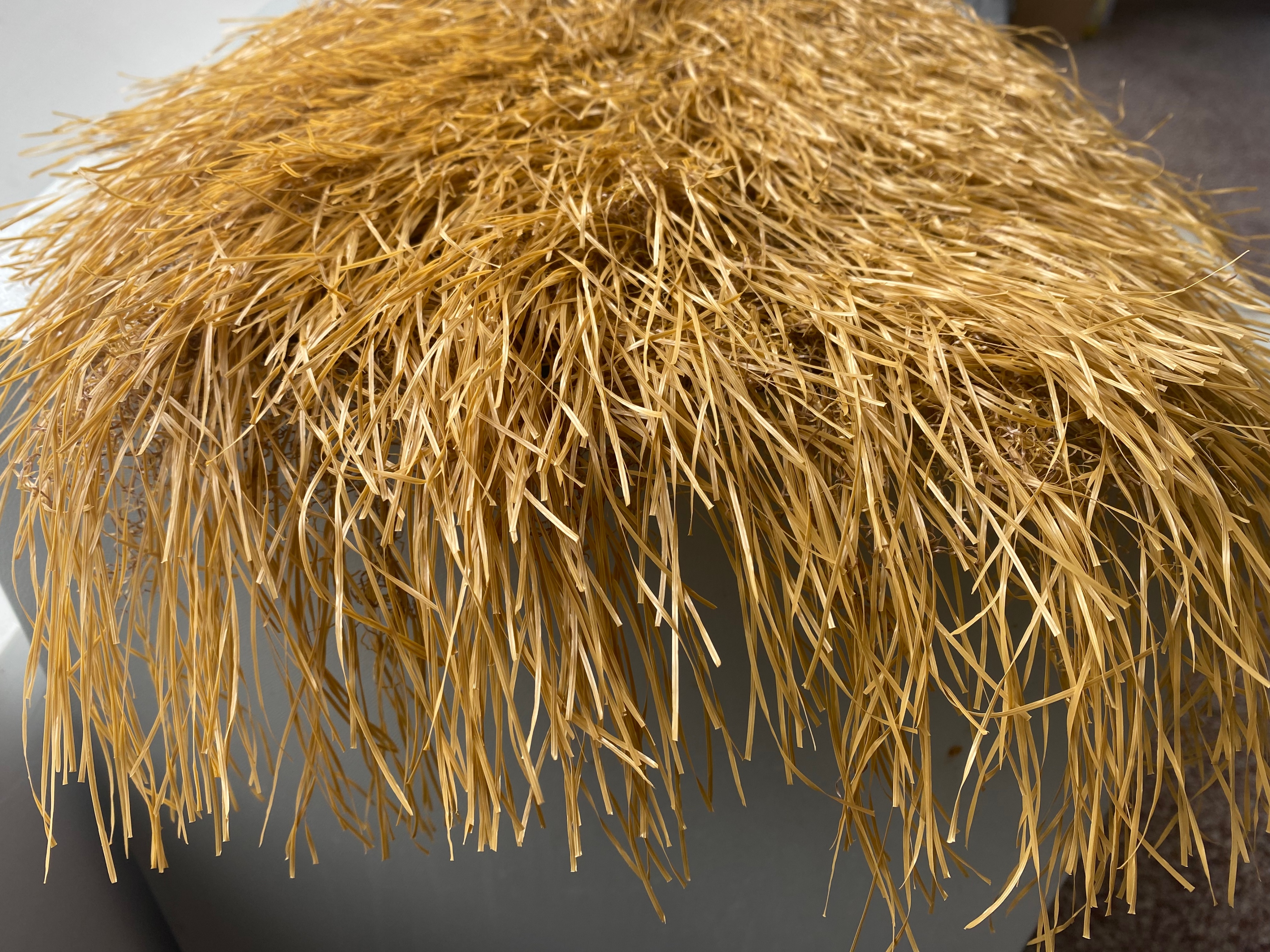 假茅草贵州批发商,假茅草批发厂家