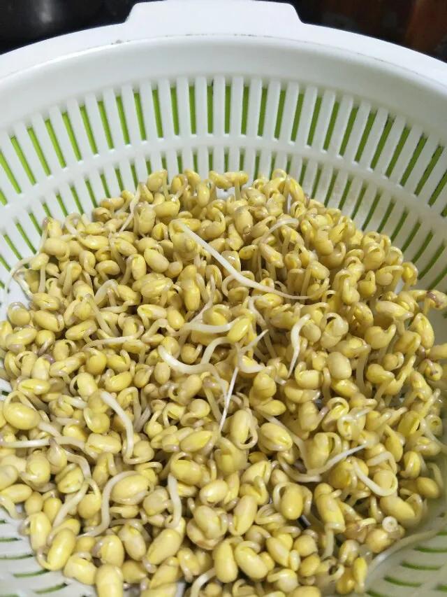 求求你们，别再买这15种小家电了，再买储物间都放不下了