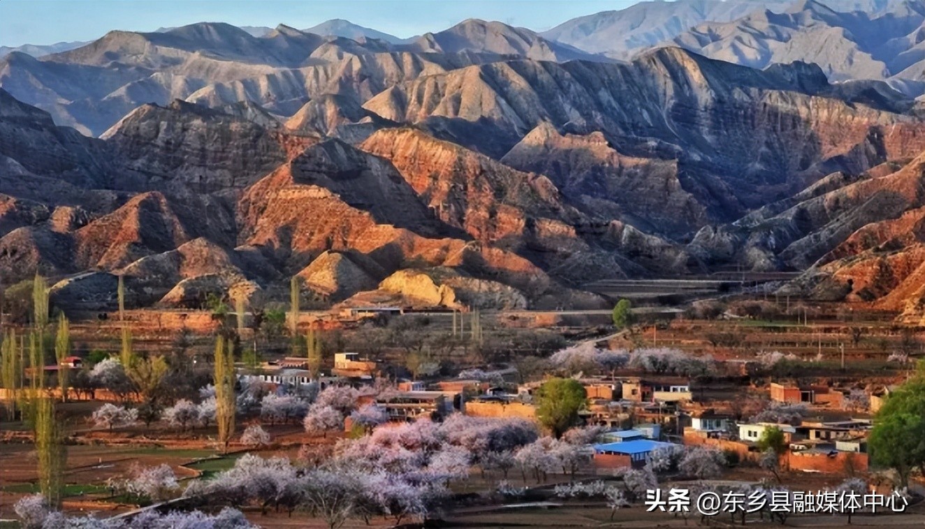 唐汪杏花节开幕,相约唐汪杏花节