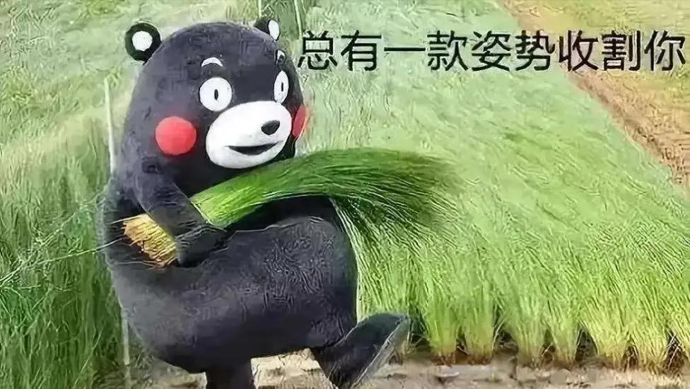 怎么做亚马逊跨境电商无货源,亚马逊无货源模式