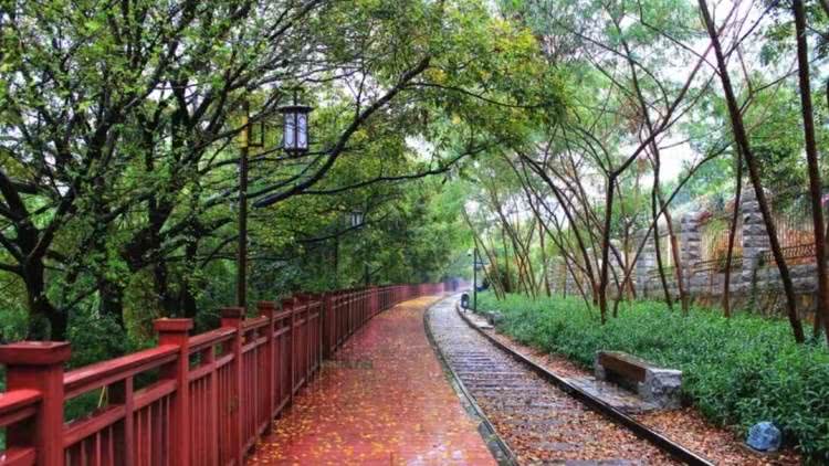 赏城中美景，品厦门味道。城市中心C位酒店，毗邻植物园、中山路