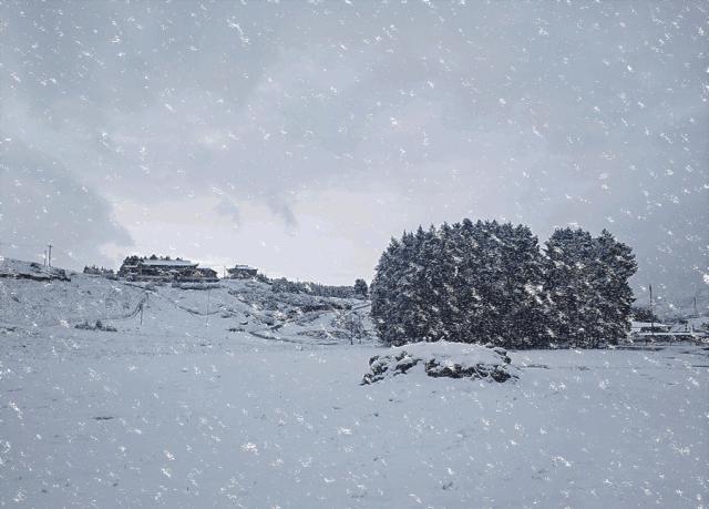 鉴赏古诗终南望余雪,描写雪景的诗句古诗大全