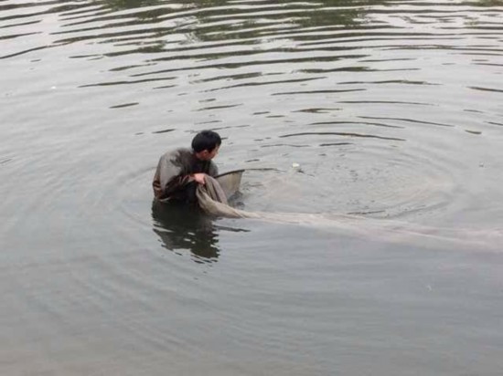 富贵险中求，1晚狂挣上万元，野河打捞红虫是怎样的“黑产”