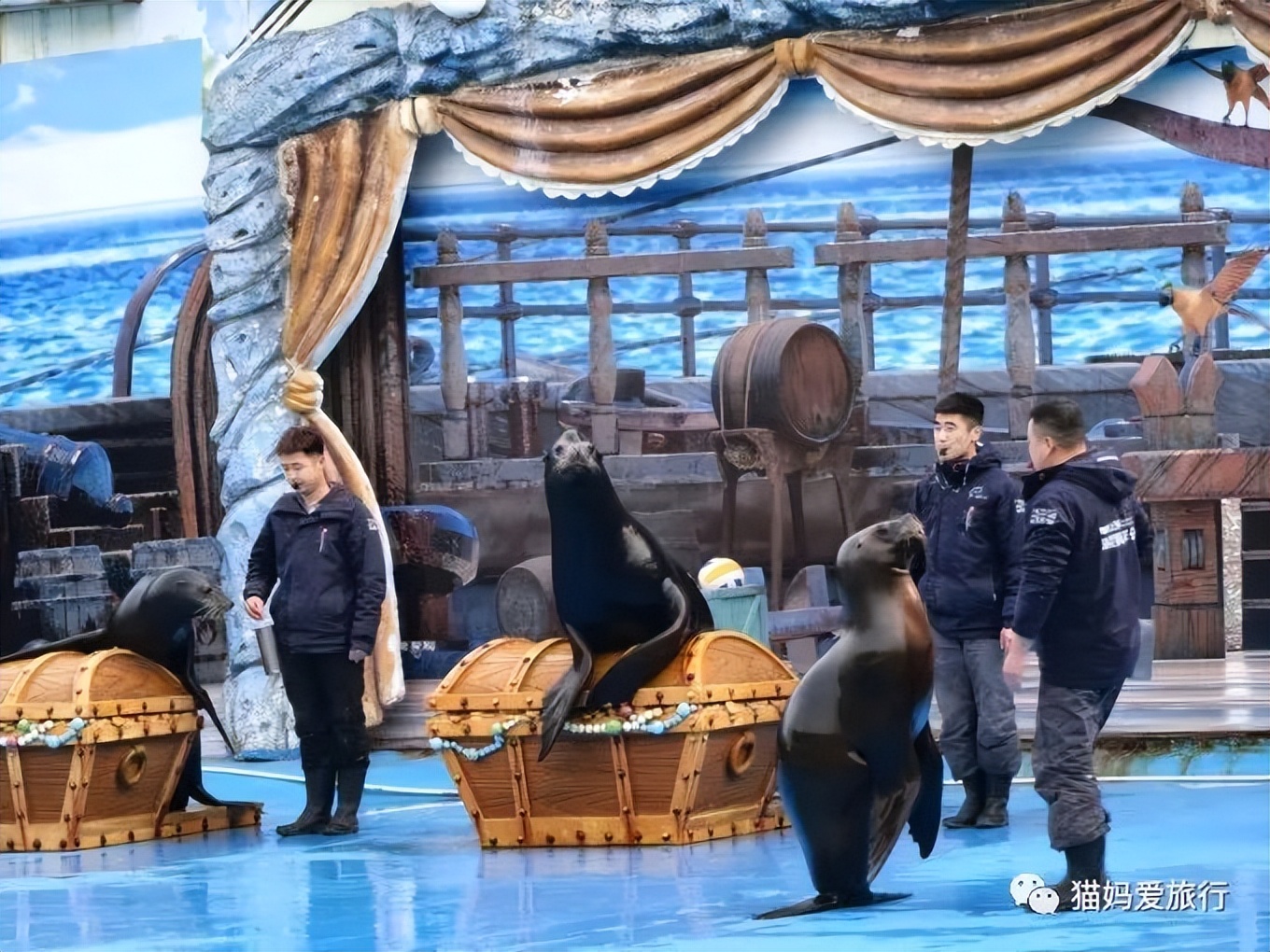 5天“趣”玩青岛，我的私藏遛娃路线