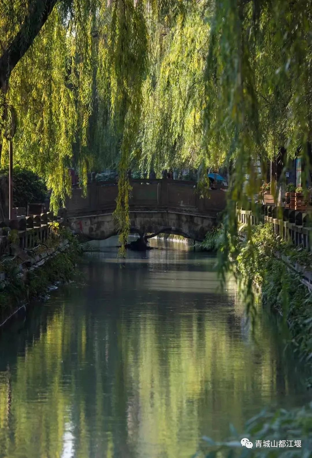 超安逸！水灵妹带你打卡都江堰6条烟火气十足的老街，告别喧嚣和浮躁，邂逅静美冬日~