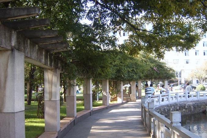 湖南第一师范2020艺术生录取线,2022年湖南师范大学考研分数线