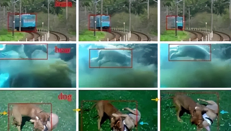 60+开源数据集资源大合集（医学图像、卫星图像、自动驾驶等）