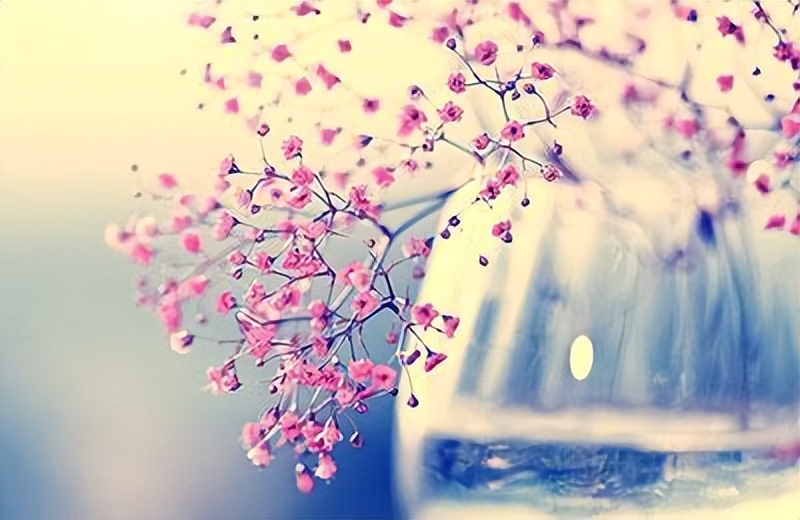 一个女人的品味看她的鞋子,一个女人过得好不好很容易看出来