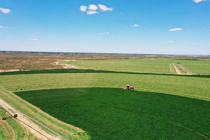 榆林农村种养殖致富项目,发展特色种养业脱贫致富