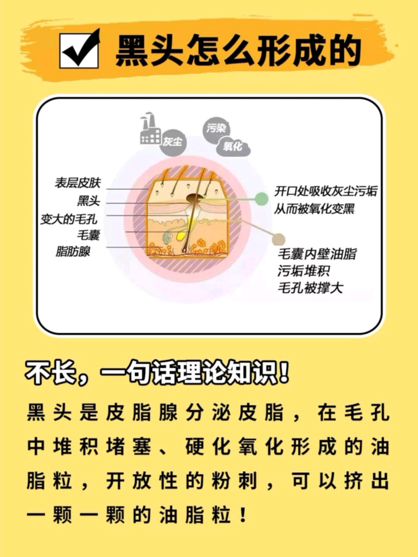 怎么去黑头好用又有效,黑头比较严重祛黑头最有效的方法
