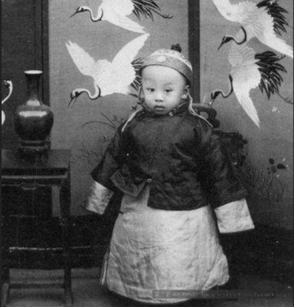 中国第一位皇帝溥仪,唯一一个结局最好的皇帝溥仪