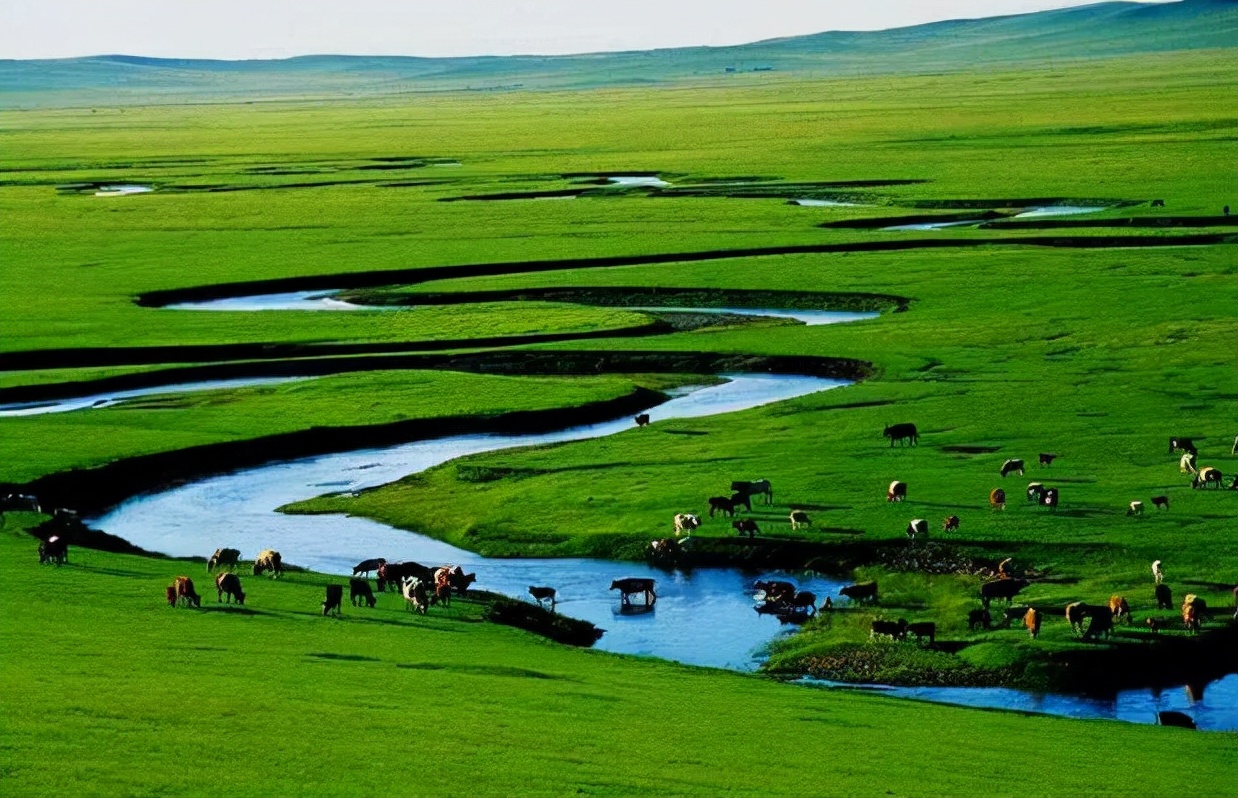 内蒙古好酒排行榜前十名,内蒙古经典白酒