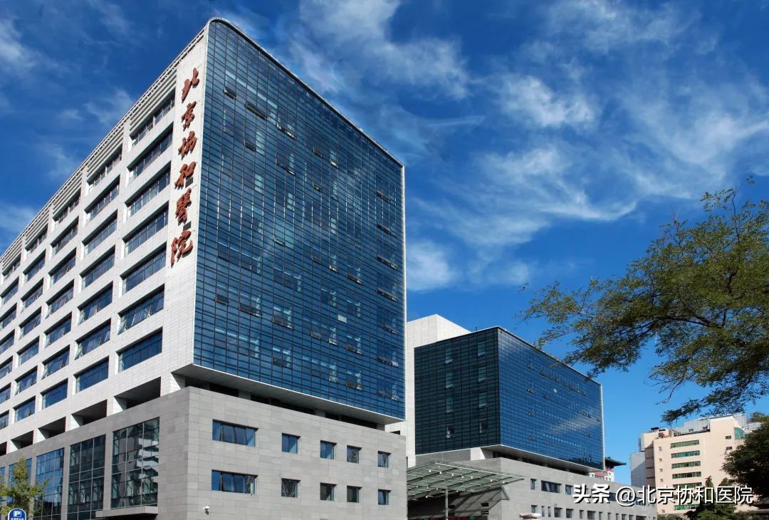 2024年护理专业招聘信息,2023年苏州市中医院护理招聘