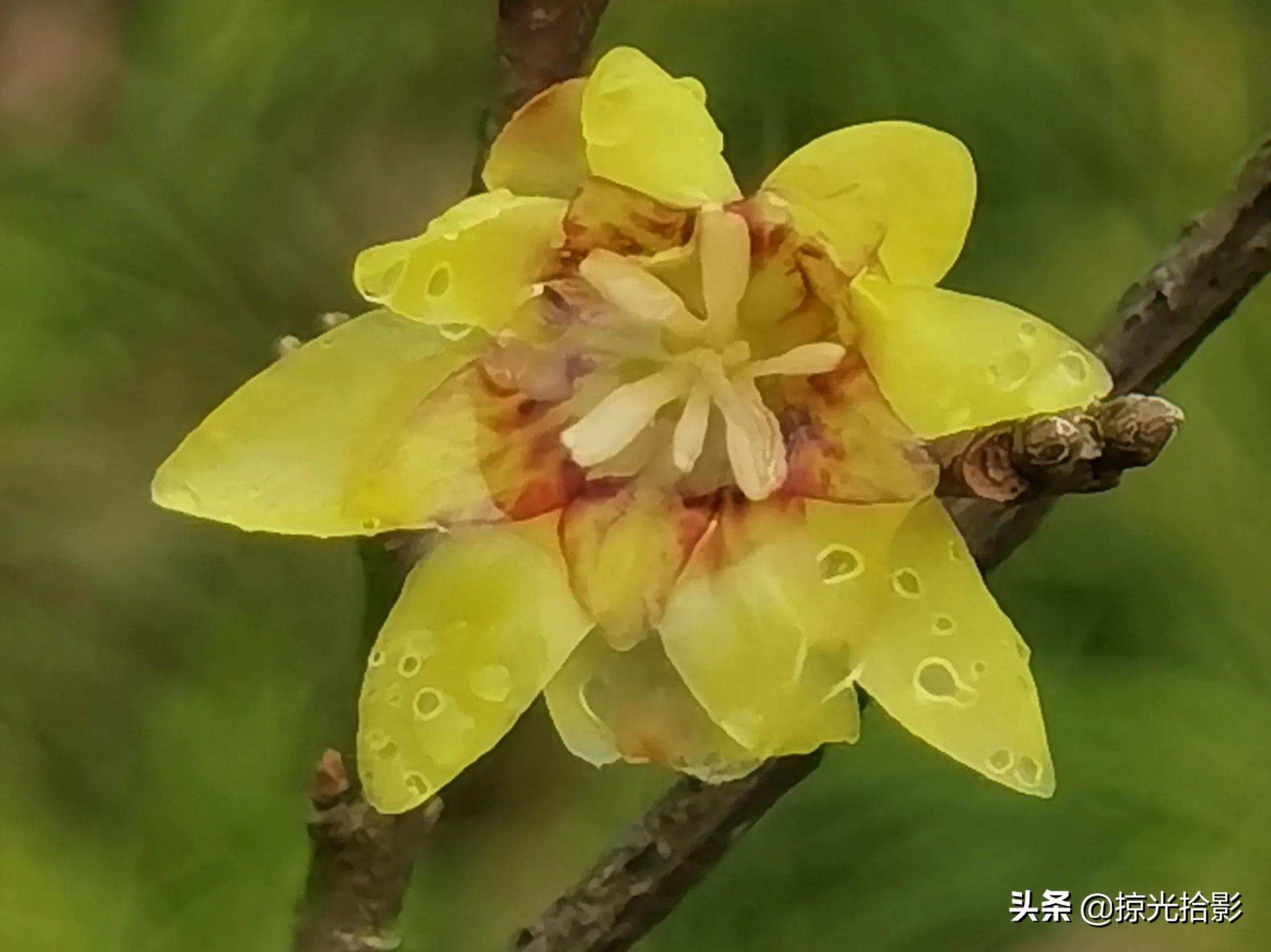 一路相伴此生无憾,缘分相伴此生无憾