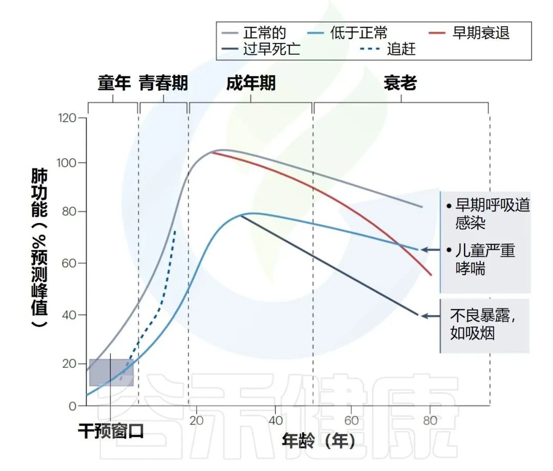 早期呼吸道感染和免疫发育决定终生肺部健康